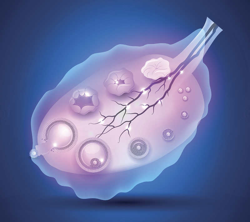 2026年银川46岁试管婴儿医院与医生深度解析：附、费用及高龄备孕指南